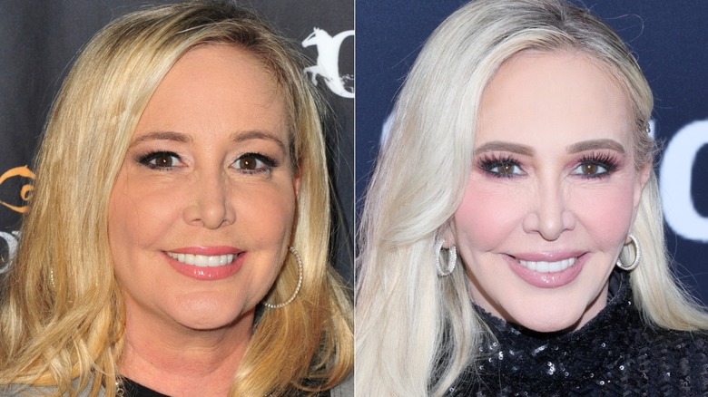 Shannon Beador en 2016 y 2025