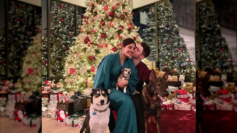 Priyanka Chopra y Nick Jonas se sientan con sus perros frente a un árbol de Navidad gigante
