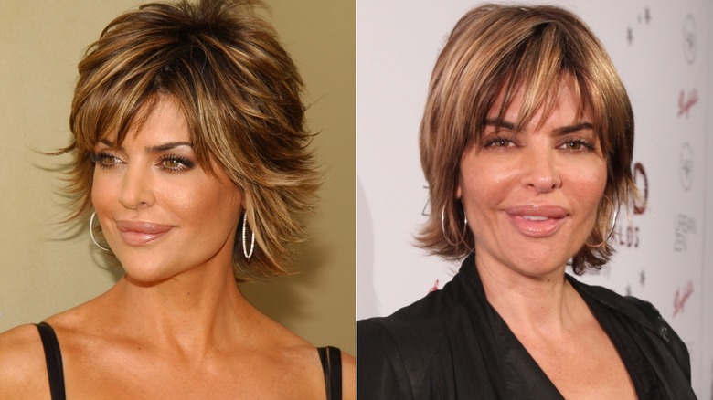 Lisa Rinna en 2005 y 2011