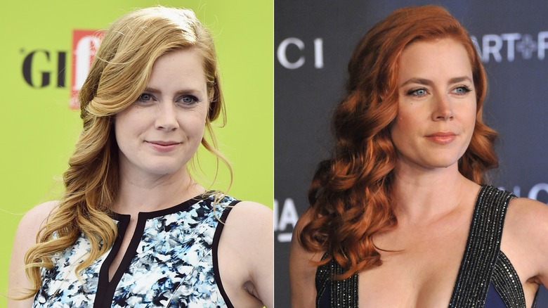 Amy Adams en 2017 y 2014
