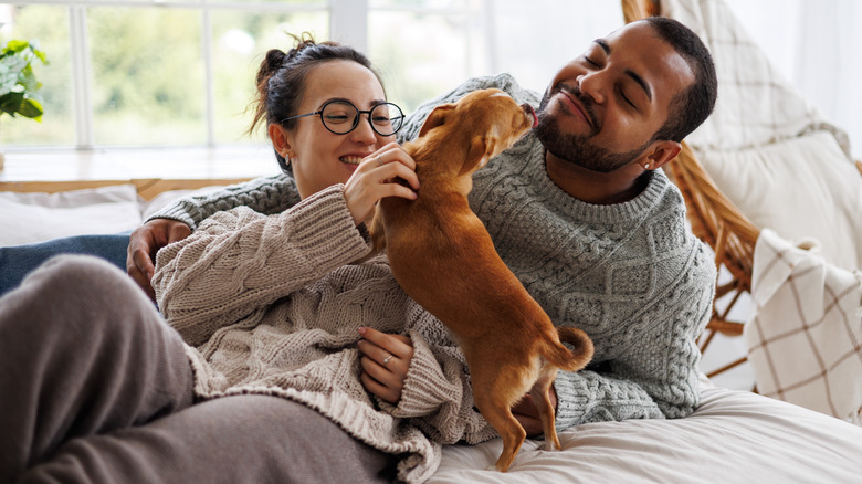 pareja feliz en la cama con perro salchicha