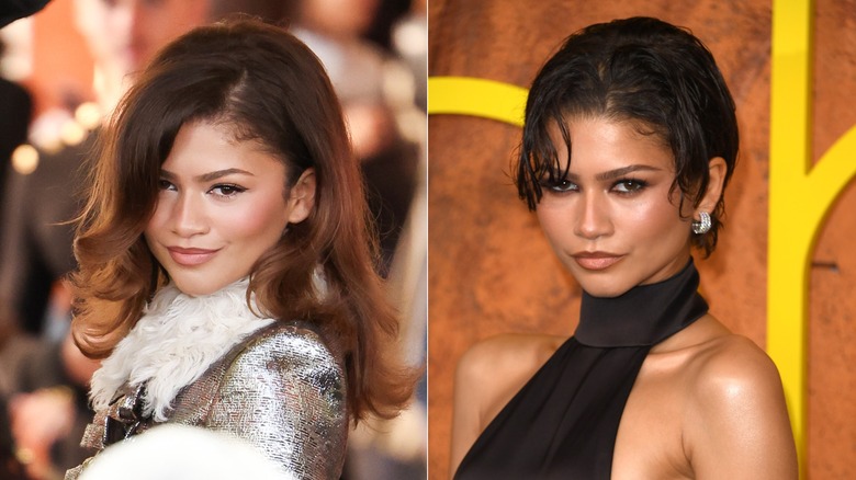 Zendaya en el desfile primavera/verano de ropa femenina de Louis Vuitton durante la Semana de la Moda de París en septiembre de 2025 / Zendaya en el estreno de 