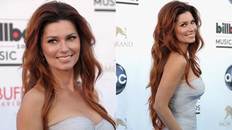 Shania Twain lleva un vestido sin tirantes con cabello castaño rojizo peinado en ondas largas y relajadas.