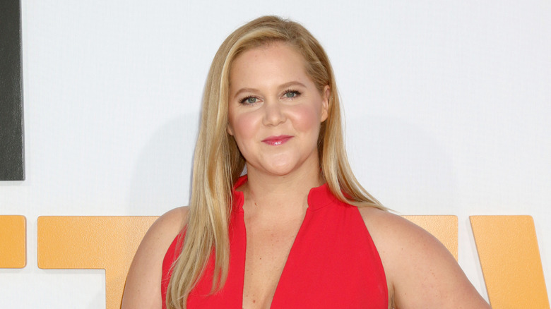 Amy Schumer sonríe en un evento de alfombra roja luciendo un vestido rojo con escote pronunciado.