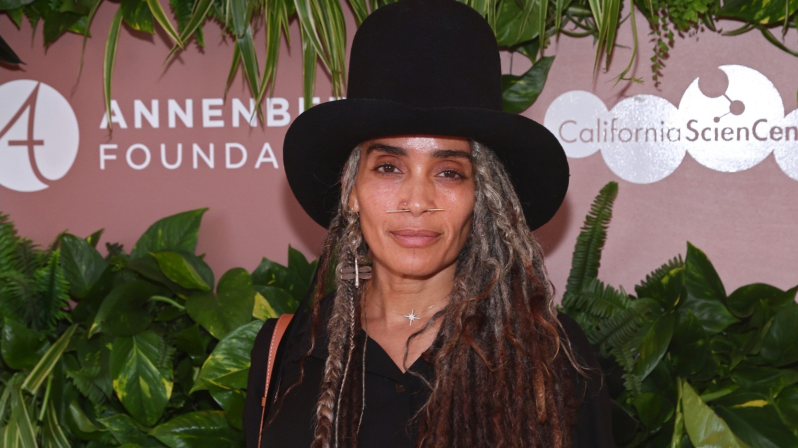 La impresionante evolución de las canas de Lisa Bonet, en fotos