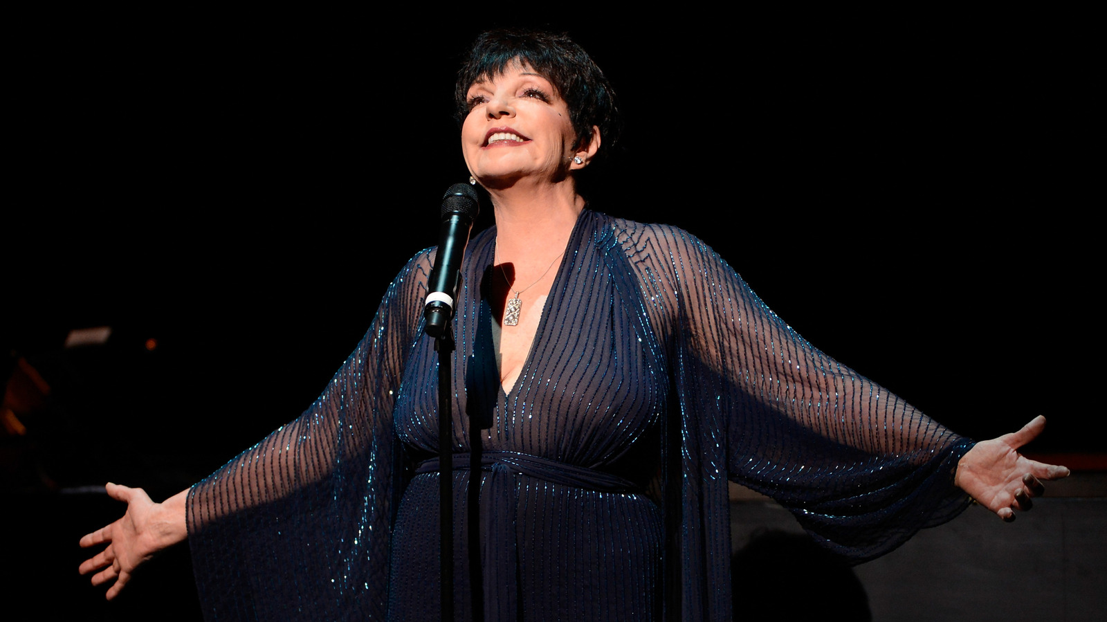 La evolución del estilo de Liza Minnelli a lo largo de su histórica carrera