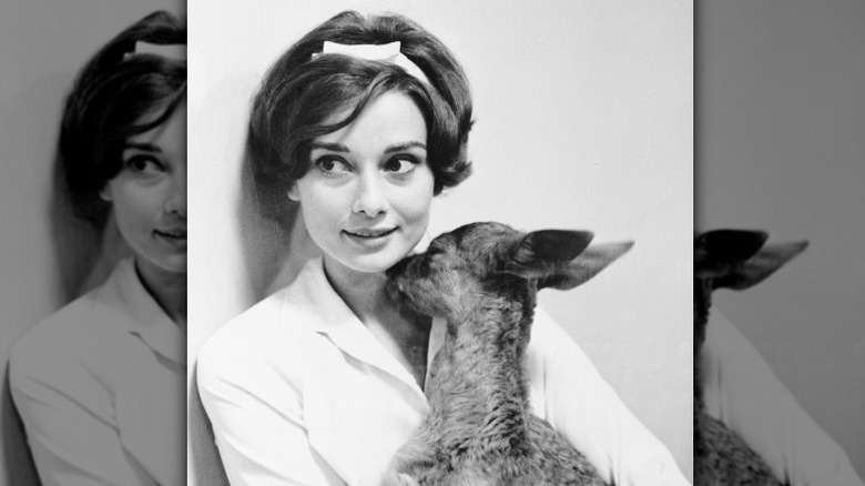 La amante de los animales Audrey Hepburn sosteniendo a su cervatillo