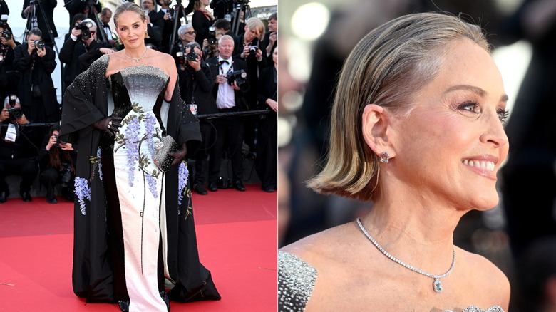 Imagen dividida de Sharon Stone con un elaborado vestido de alfombra roja en el Festival de Cine de Cannes en 2026.