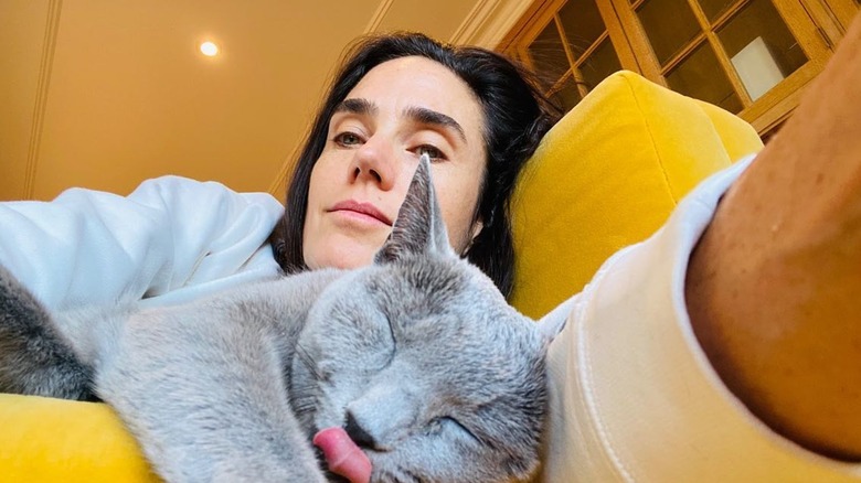 Jennifer Connelly comparte una selfie sin maquillaje con su gato
