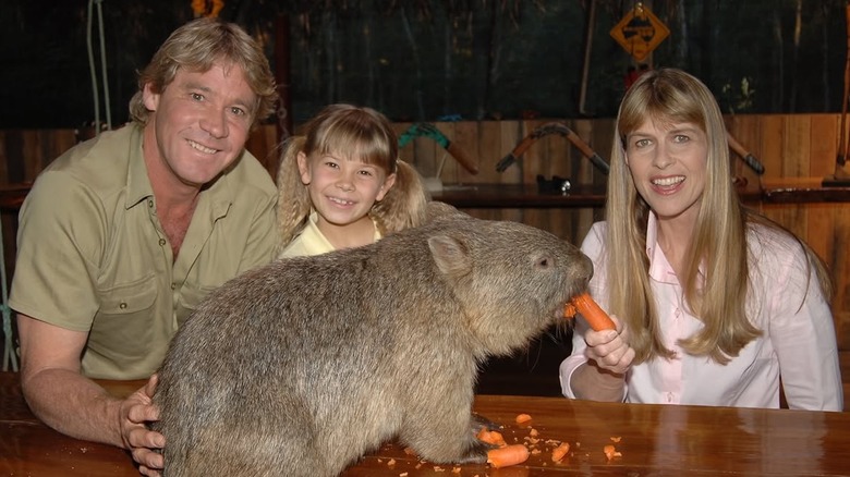 Steve Irwin, Bindi Irwin y Terri Irwin alimentando a un wombat
