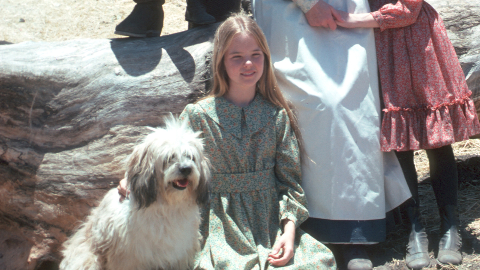 Los fanáticos de Little House coinciden en que Mary Ingalls fue el personaje mejor vestido de la serie original