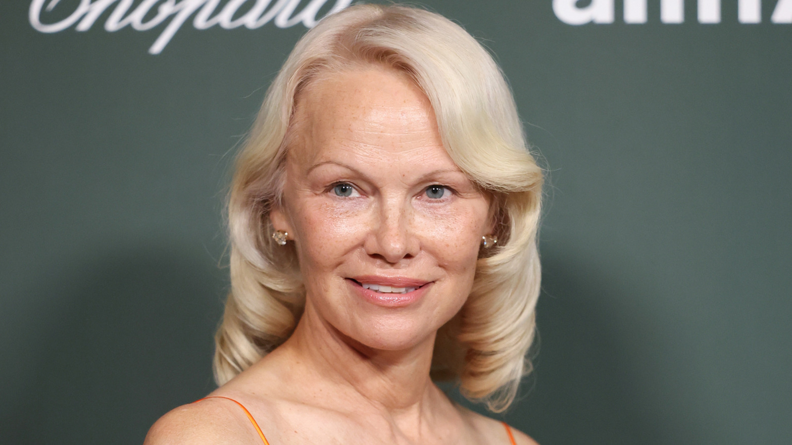 Lo que los ex de la estrella original de Baywatch, Pamela Anderson, han dicho sobre ella