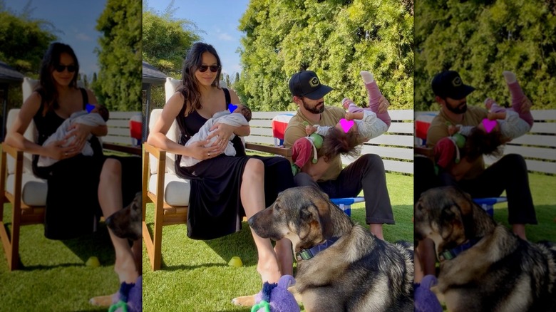 Milo Ventimiglia y Jarah Mariano con sus hijos y su perro