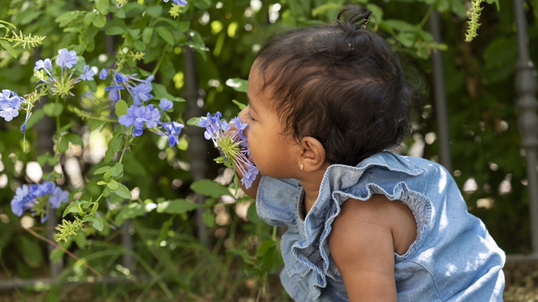 Una niña oliendo flores.