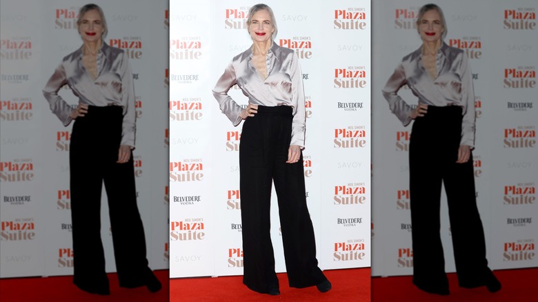 Elizabeth McGovern fotografiada con una blusa plateada y pantalones negros en 2024