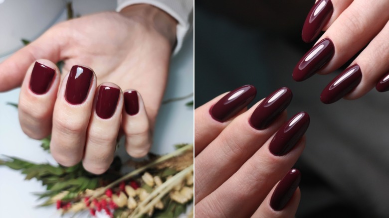 Una manicura burdeos en uñas cortas y largas.