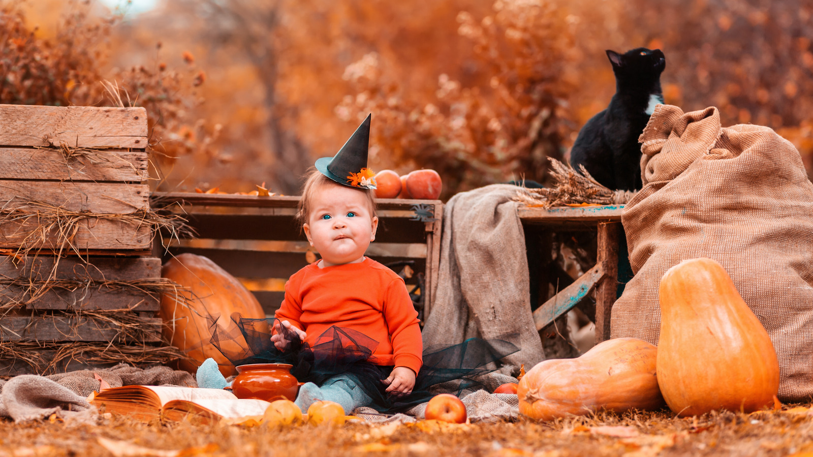 100 nombres de bebés inspirados en Halloween para los amantes de las estaciones espeluznantes